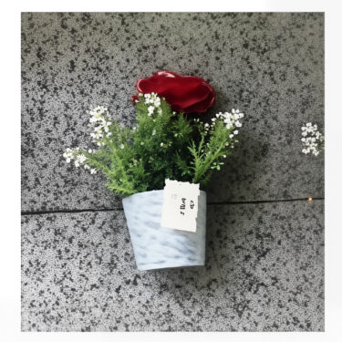 ORCHIDEE ROSE ROUGE