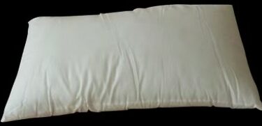 OREILLER 48X76CM